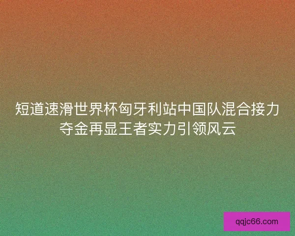 短道速滑世界杯匈牙利站中国队混合接力夺金再显王者实力引领风云